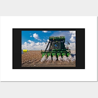 Cotton Harvesting Posters and Art